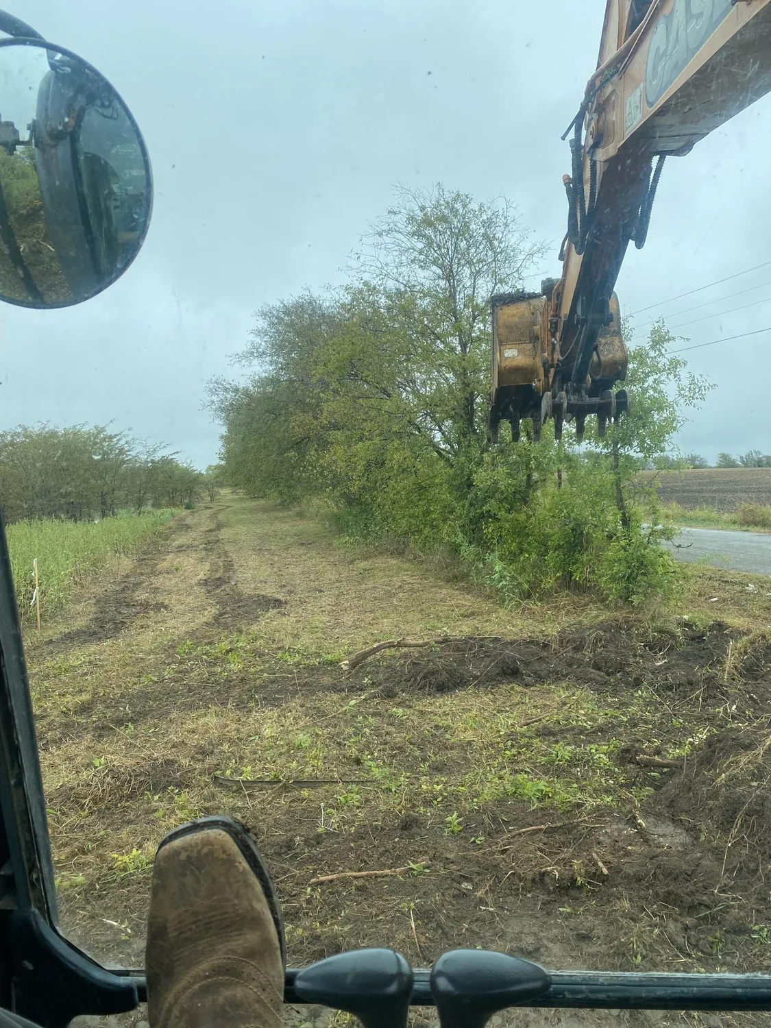 A tree line, cleared — after